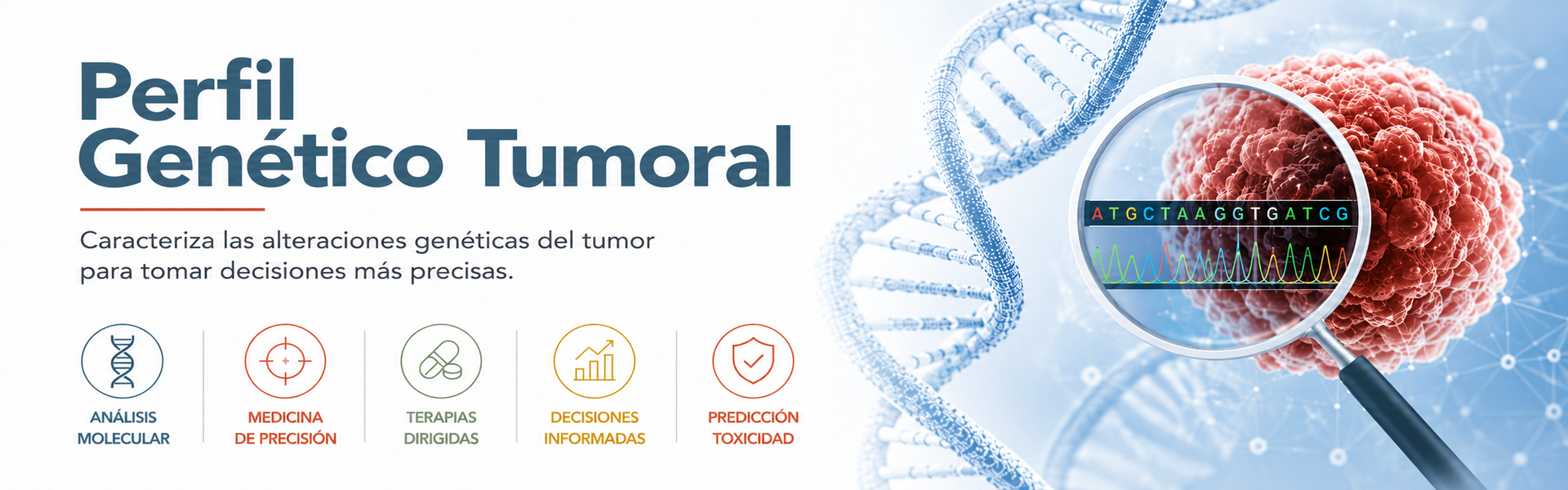 Perfil genético tumoral: análisis del material genético del tumor para identificar sus alteraciones moleculares y orientar el tratamiento en cada caso.