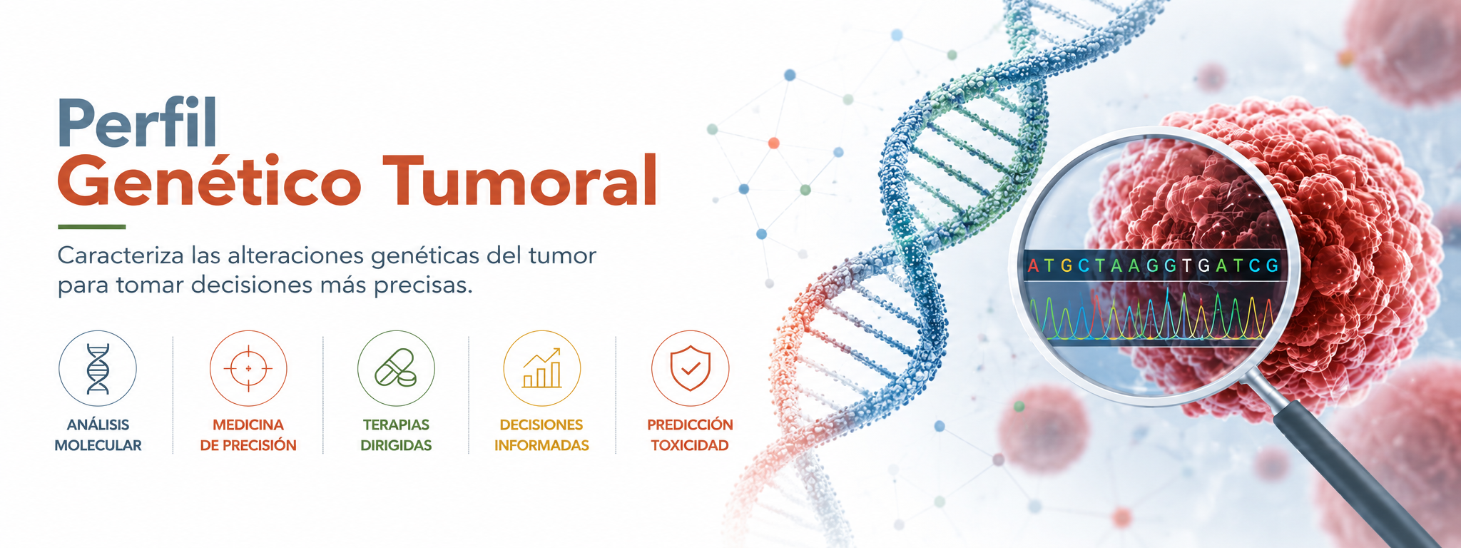 Perfil genético tumoral: análisis del material genético del tumor para identificar sus alteraciones moleculares y orientar el tratamiento en cada caso.